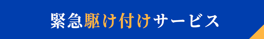 緊急駆け付けサービス